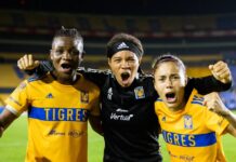 Toluca por el Bicampeonato Tigres por la Novena Estrella